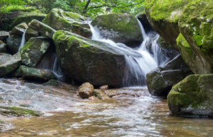 mudeungsan-national-park